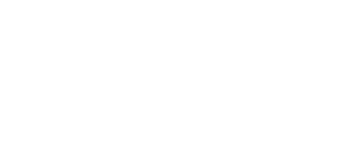 BDM Viaggi logo